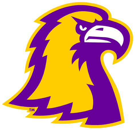 Tennessee Tech Golden Eagles 2006-Pres Alternate Logo t shirts iron on transfers v4